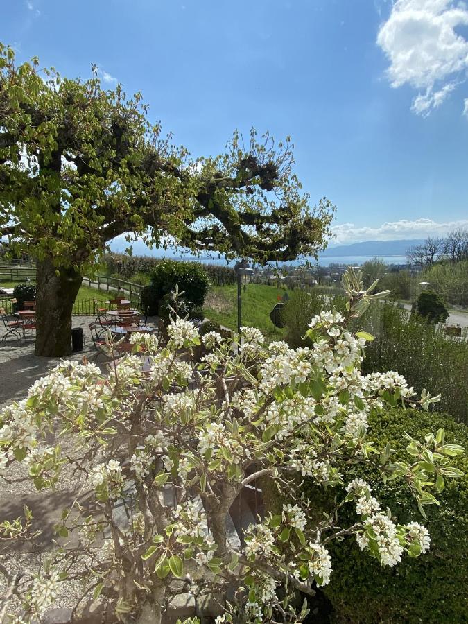 Hotel Montfort-Schloessle Lindau  Eksteriør billede