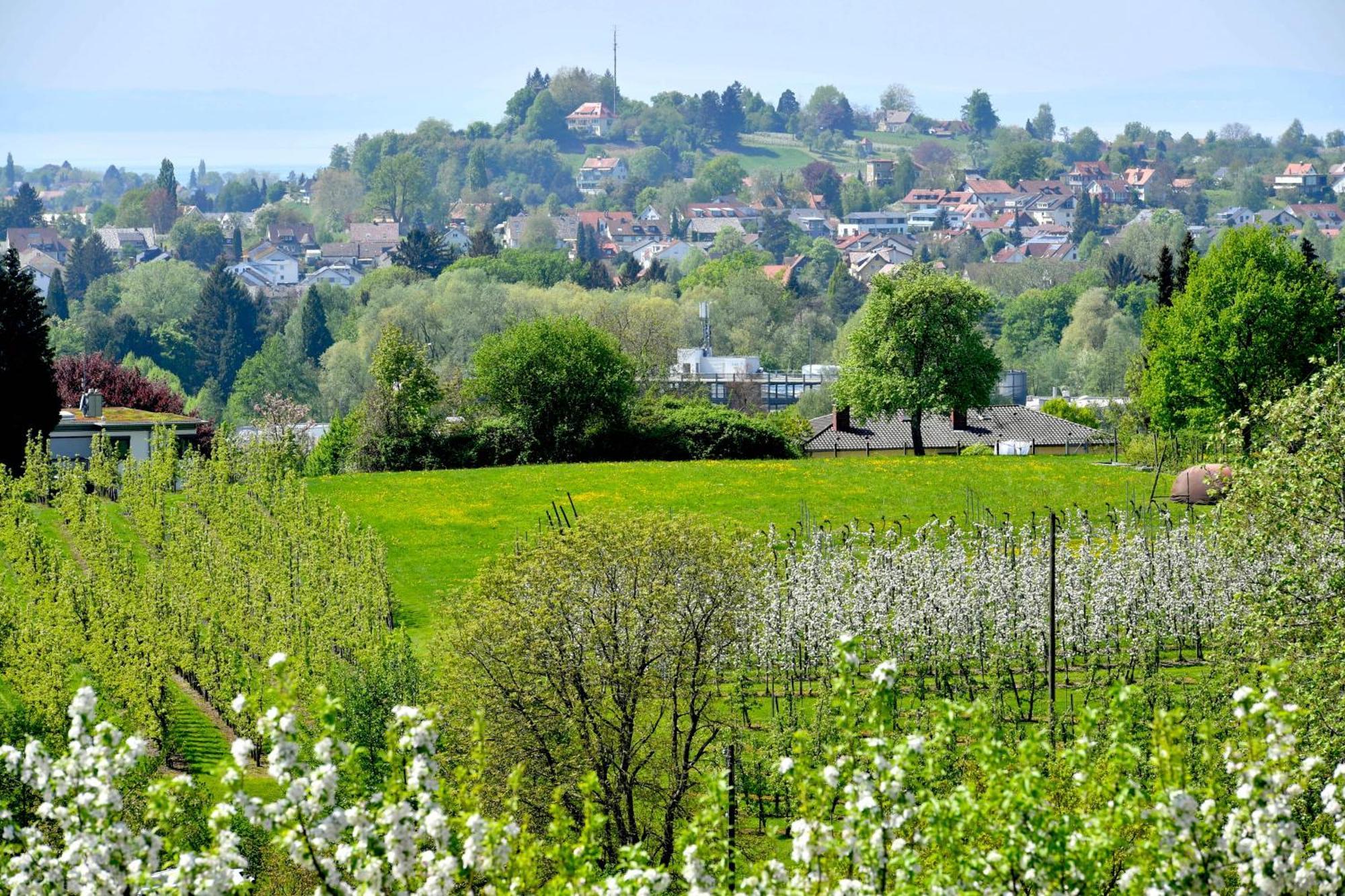 Hotel Montfort-Schloessle Lindau  Værelse billede