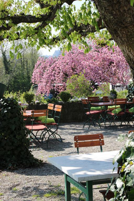 Hotel Montfort-Schloessle Lindau  Værelse billede